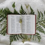 open bible ferns
